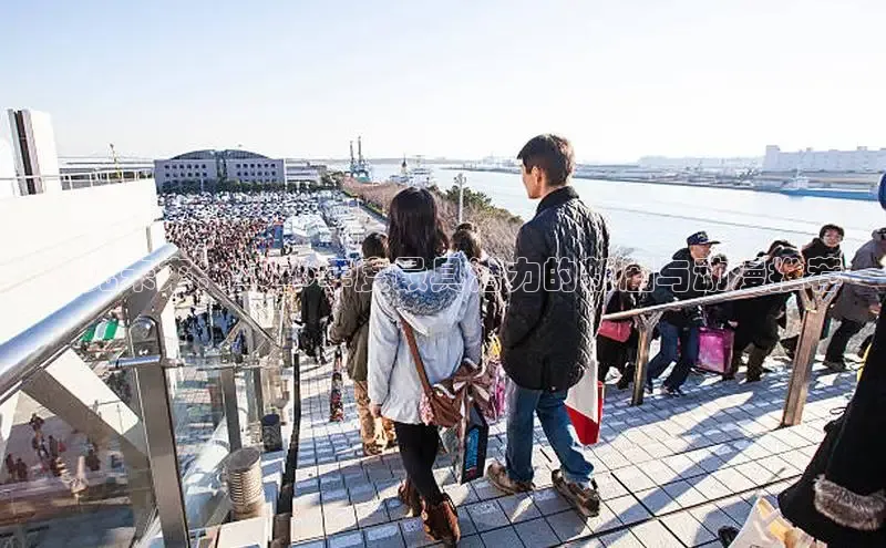 预见未来：2026年度最具潜力的新剧与动漫推荐